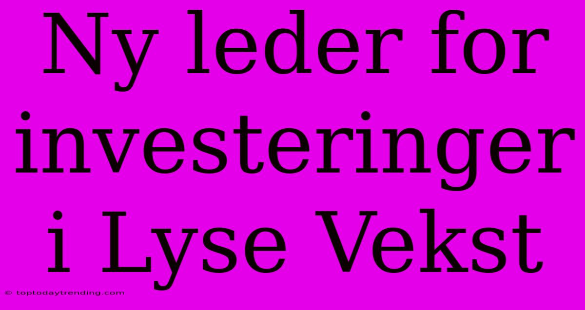 Ny Leder For Investeringer I Lyse Vekst