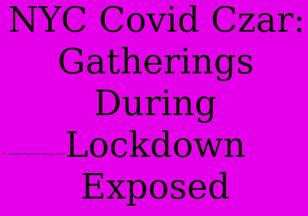 NYC Covid Czar: Gatherings During Lockdown Exposed