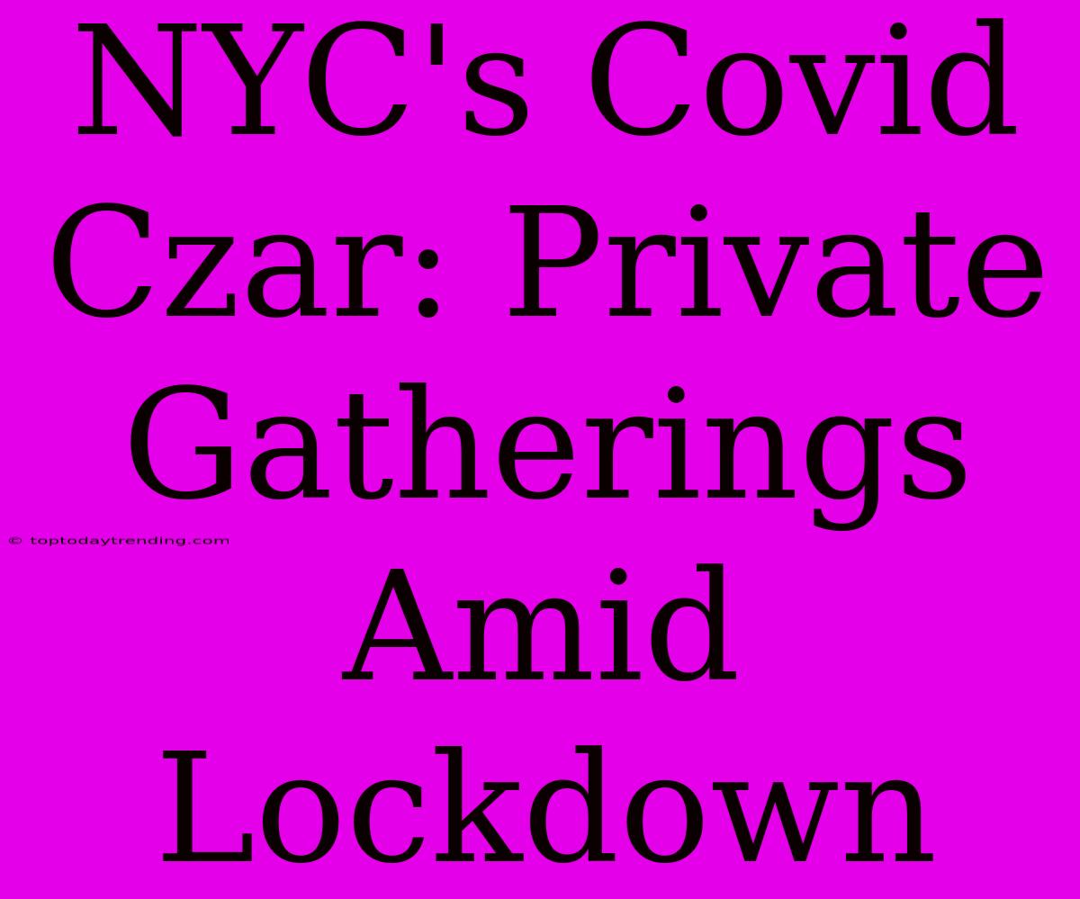 NYC's Covid Czar: Private Gatherings Amid Lockdown