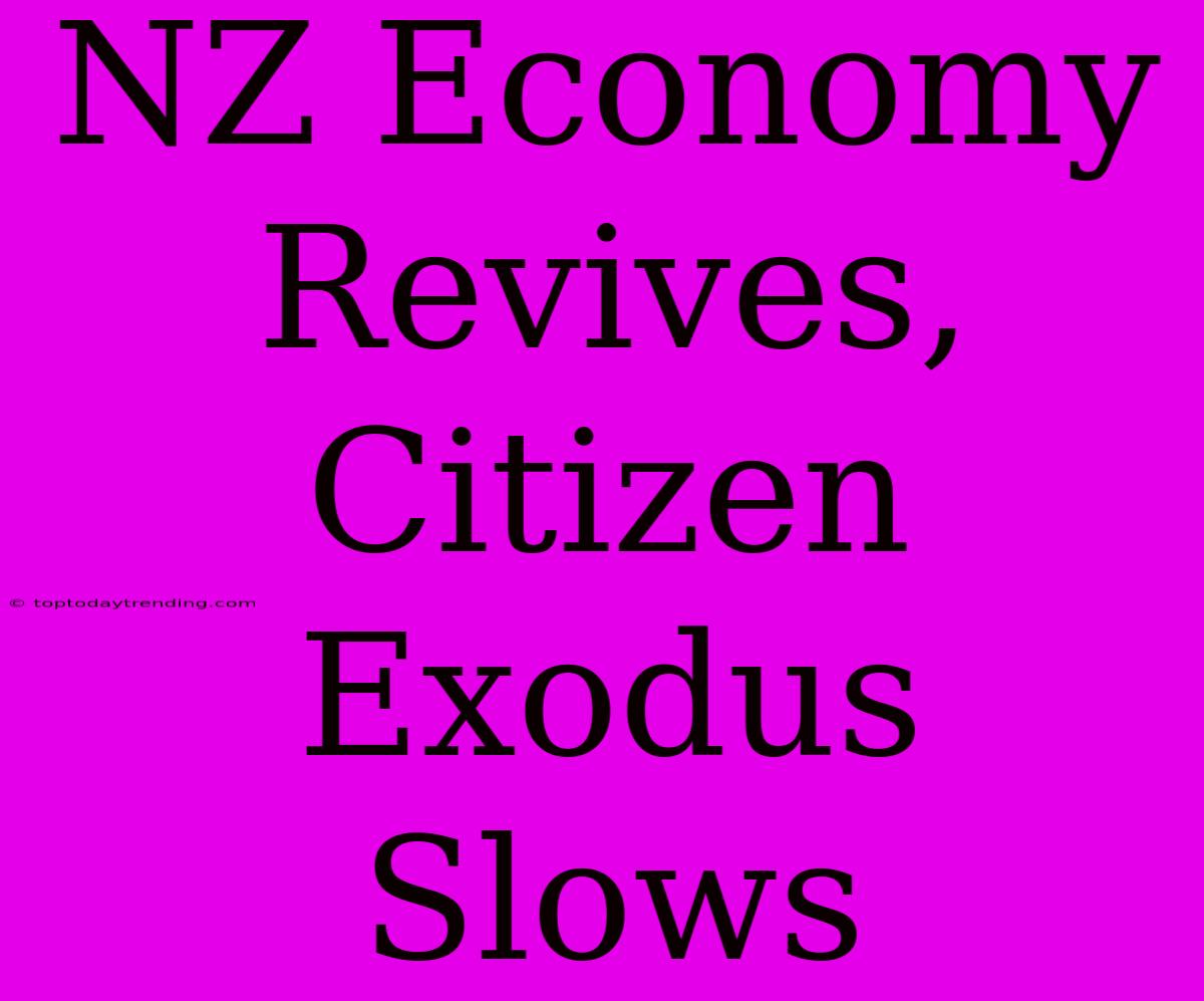 NZ Economy Revives, Citizen Exodus Slows