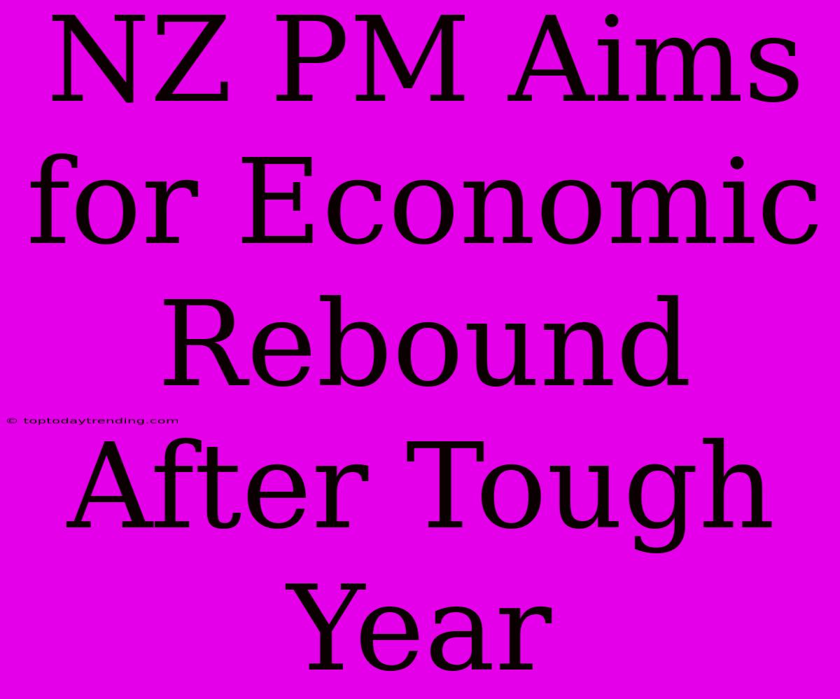 NZ PM Aims For Economic Rebound After Tough Year