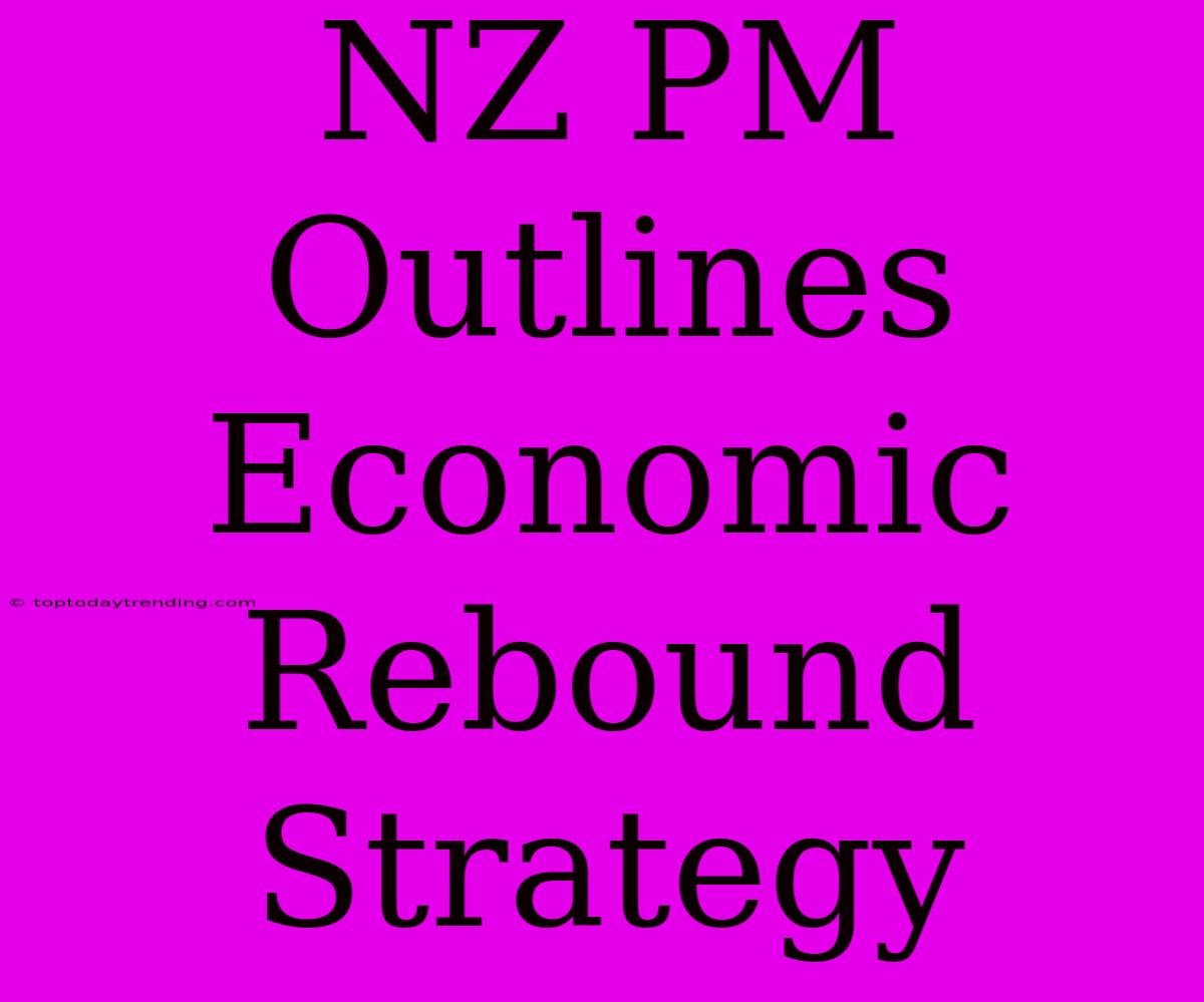 NZ PM Outlines Economic Rebound Strategy