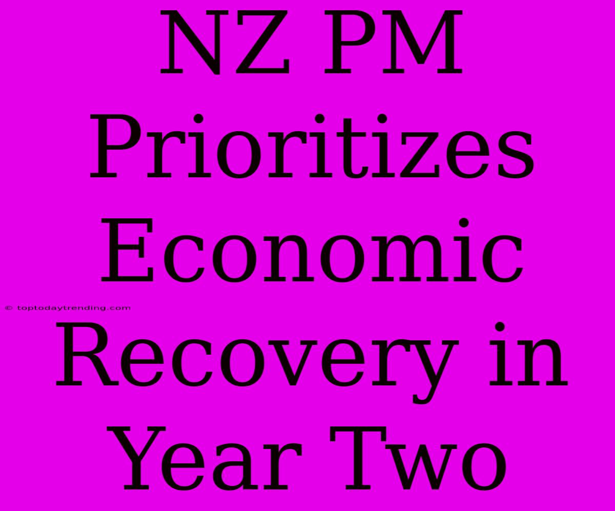 NZ PM Prioritizes Economic Recovery In Year Two