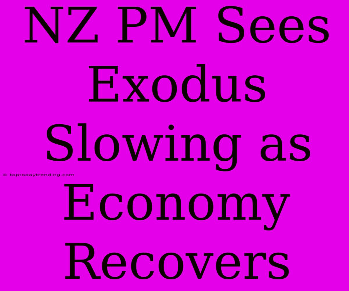 NZ PM Sees Exodus Slowing As Economy Recovers