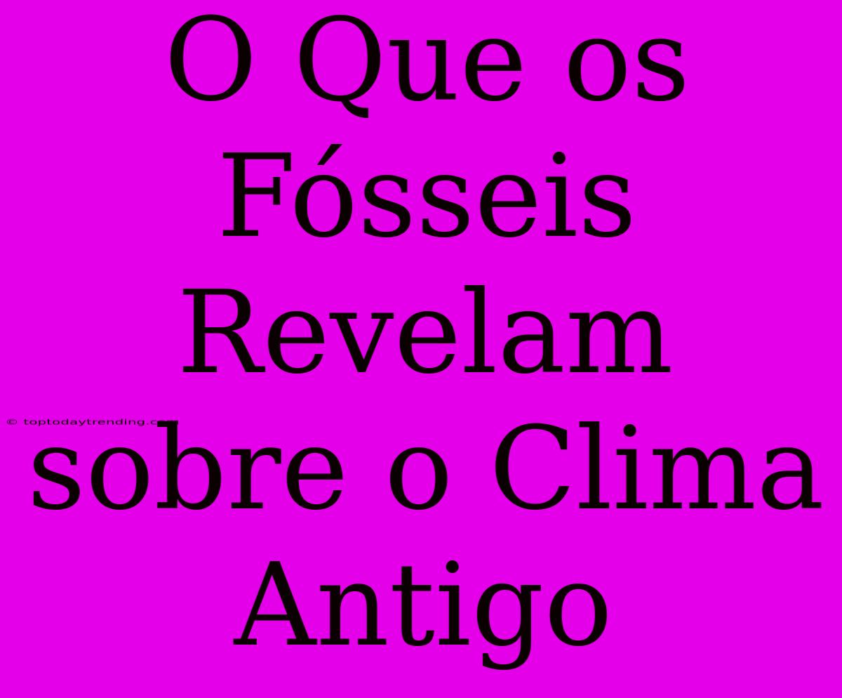 O Que Os Fósseis Revelam Sobre O Clima Antigo