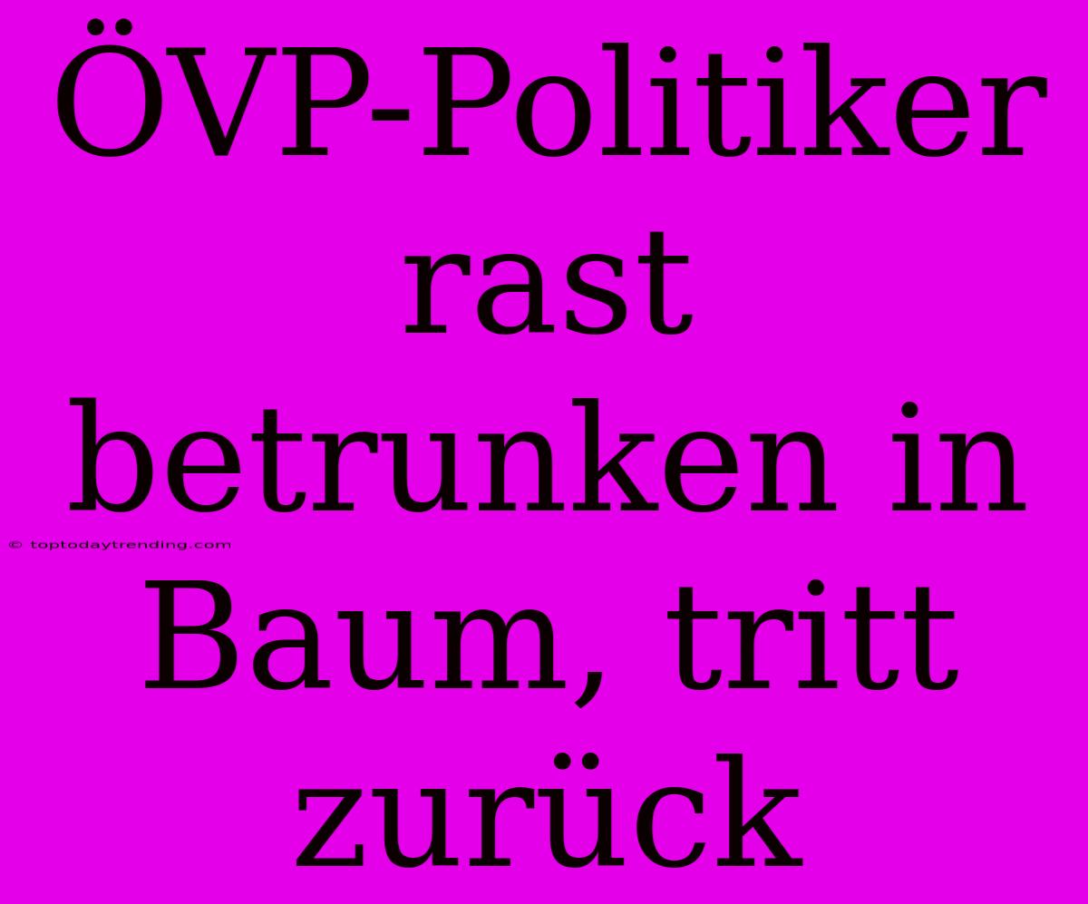 ÖVP-Politiker Rast Betrunken In Baum, Tritt Zurück