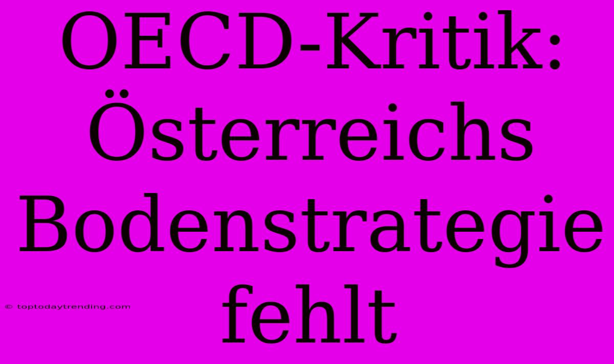 OECD-Kritik: Österreichs Bodenstrategie Fehlt