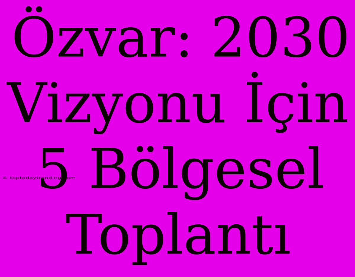 Özvar: 2030 Vizyonu İçin 5 Bölgesel Toplantı