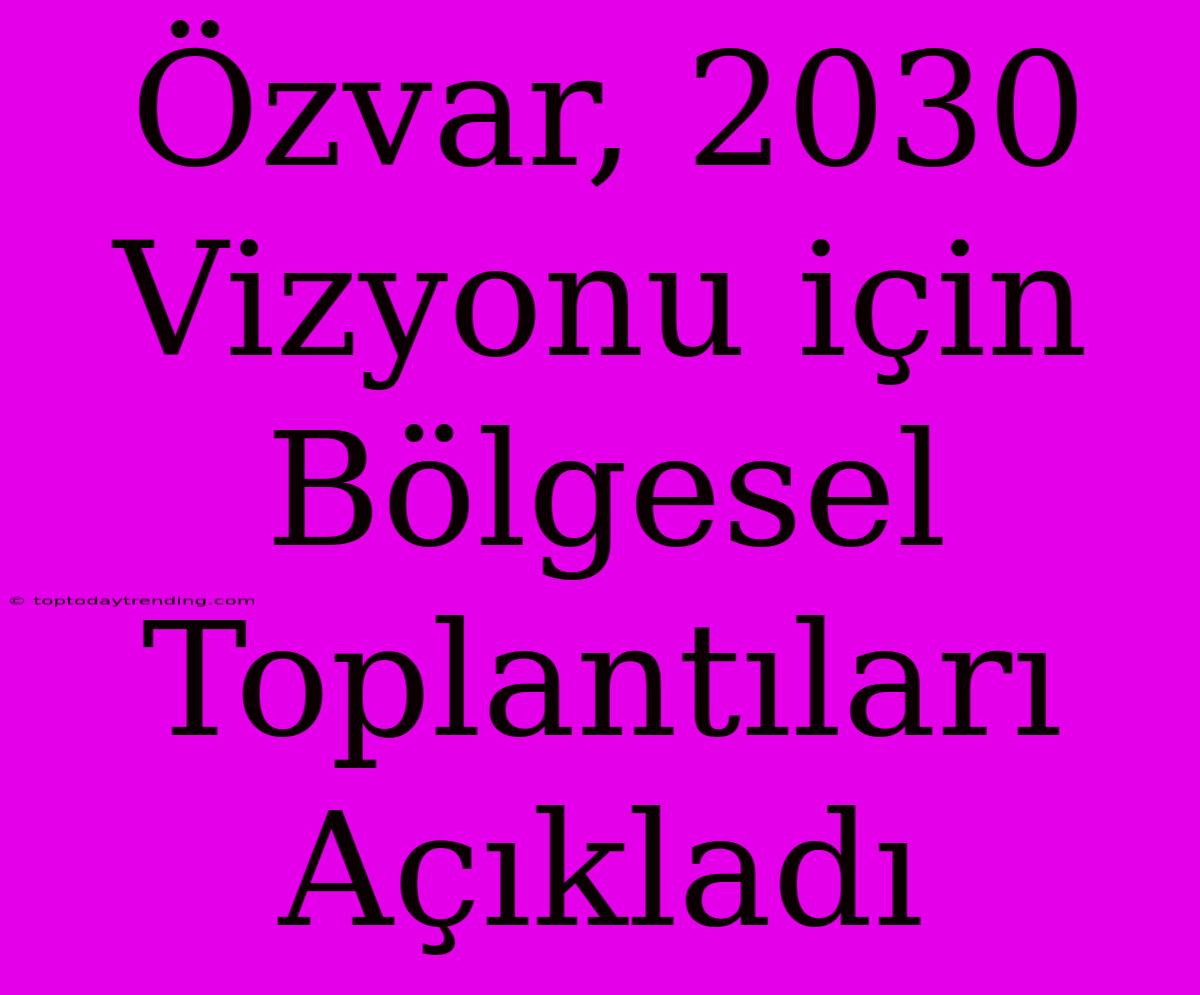 Özvar, 2030 Vizyonu Için Bölgesel Toplantıları Açıkladı