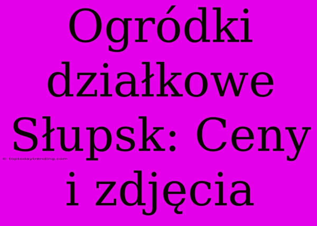 Ogródki Działkowe Słupsk: Ceny I Zdjęcia