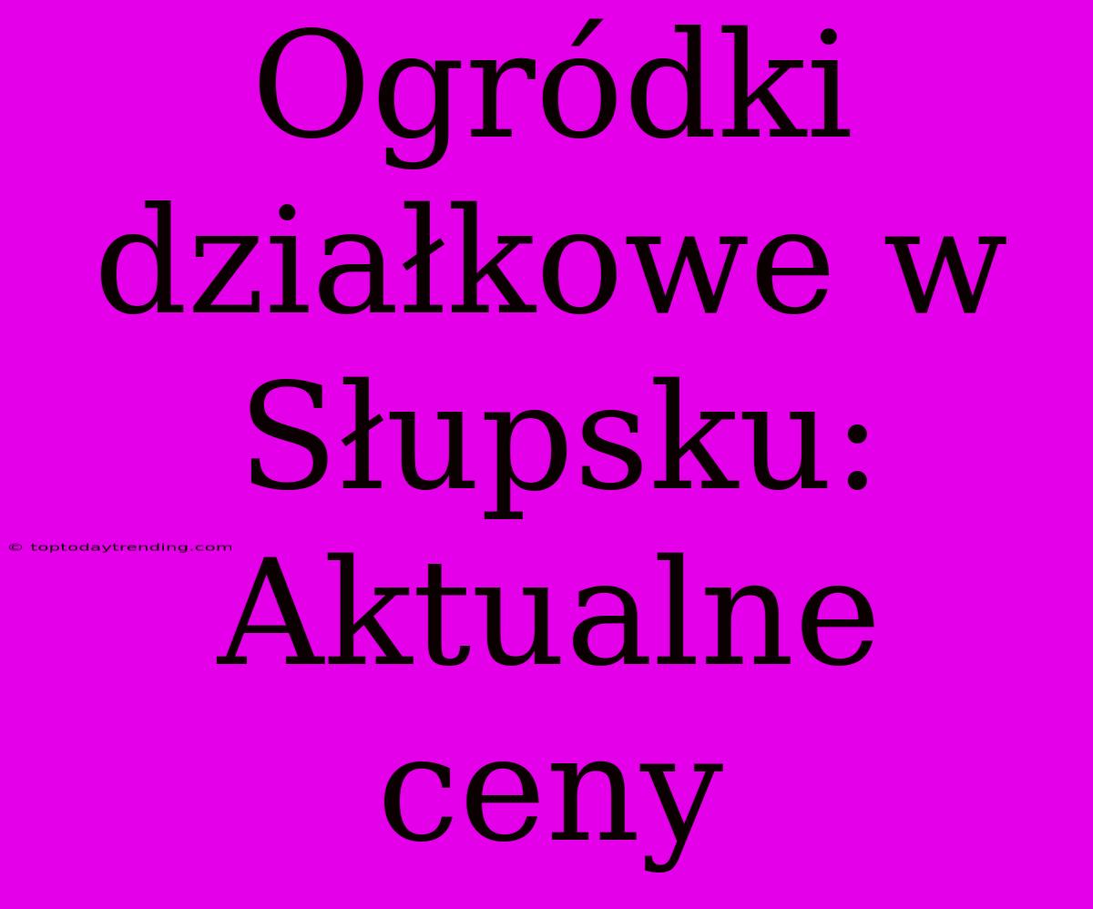 Ogródki Działkowe W Słupsku: Aktualne Ceny