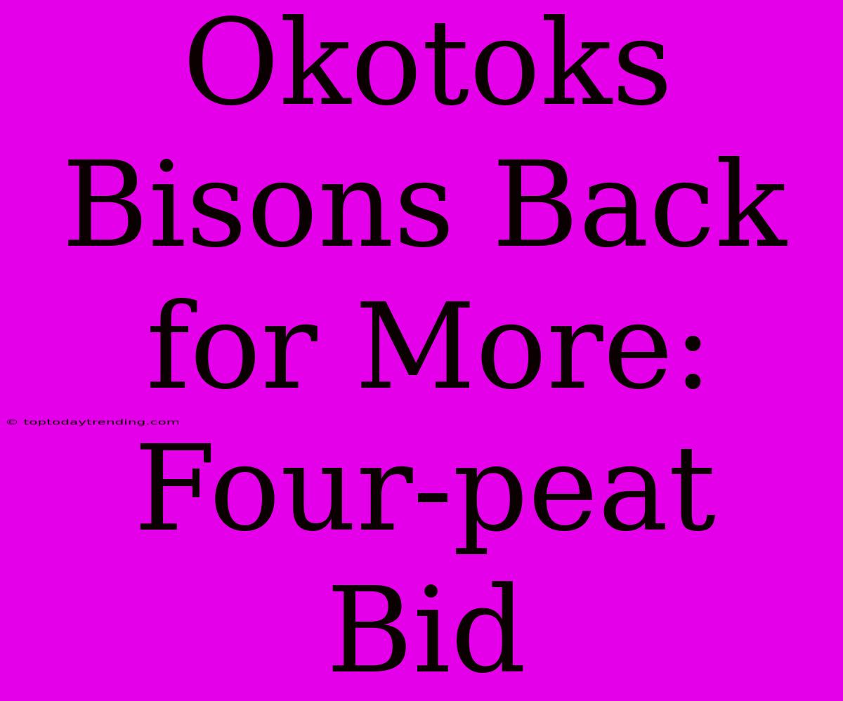 Okotoks Bisons Back For More: Four-peat Bid