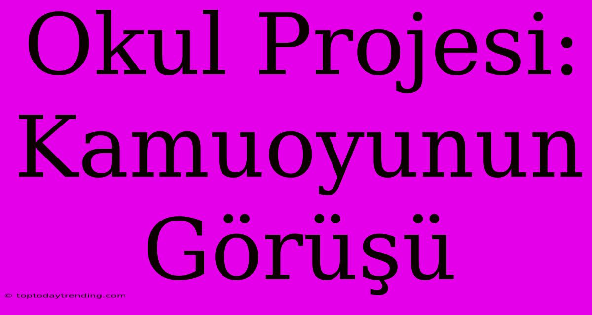 Okul Projesi: Kamuoyunun Görüşü