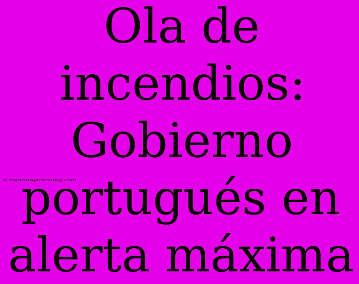 Ola De Incendios: Gobierno Portugués En Alerta Máxima