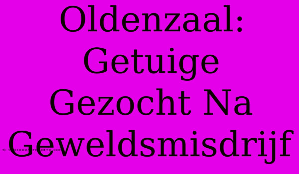 Oldenzaal: Getuige Gezocht Na Geweldsmisdrijf