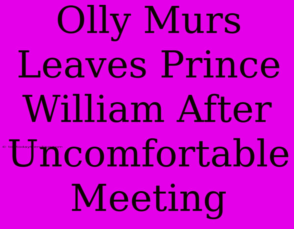 Olly Murs Leaves Prince William After Uncomfortable Meeting