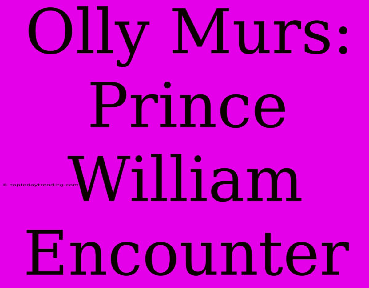 Olly Murs: Prince William Encounter