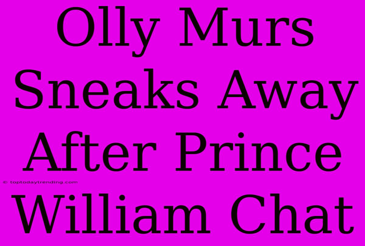 Olly Murs Sneaks Away After Prince William Chat