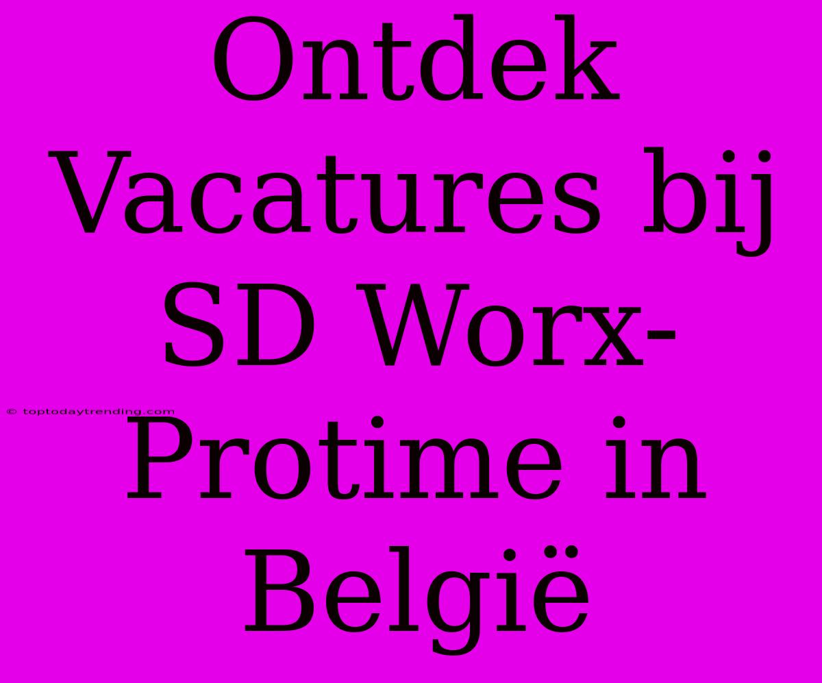 Ontdek Vacatures Bij SD Worx-Protime In België