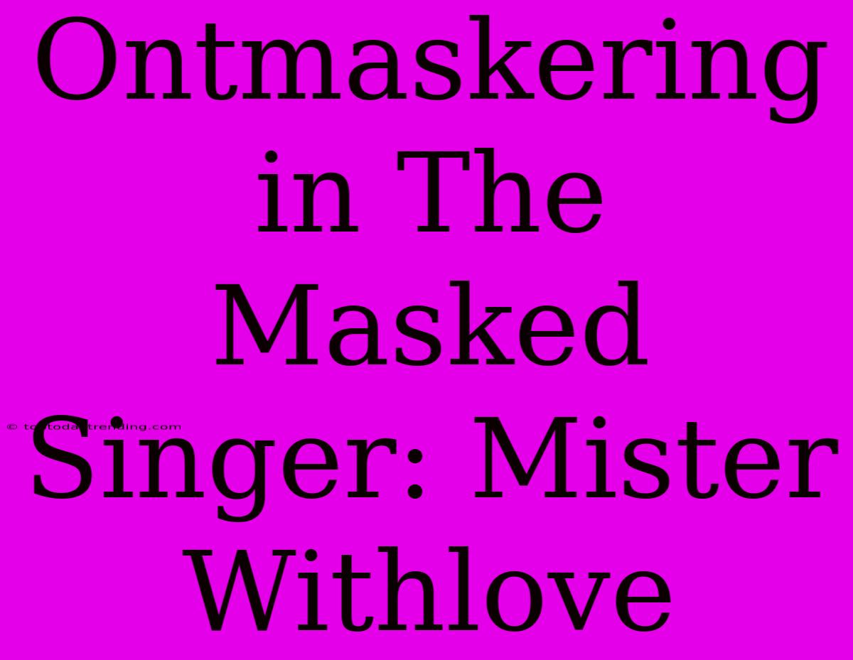 Ontmaskering In The Masked Singer: Mister Withlove