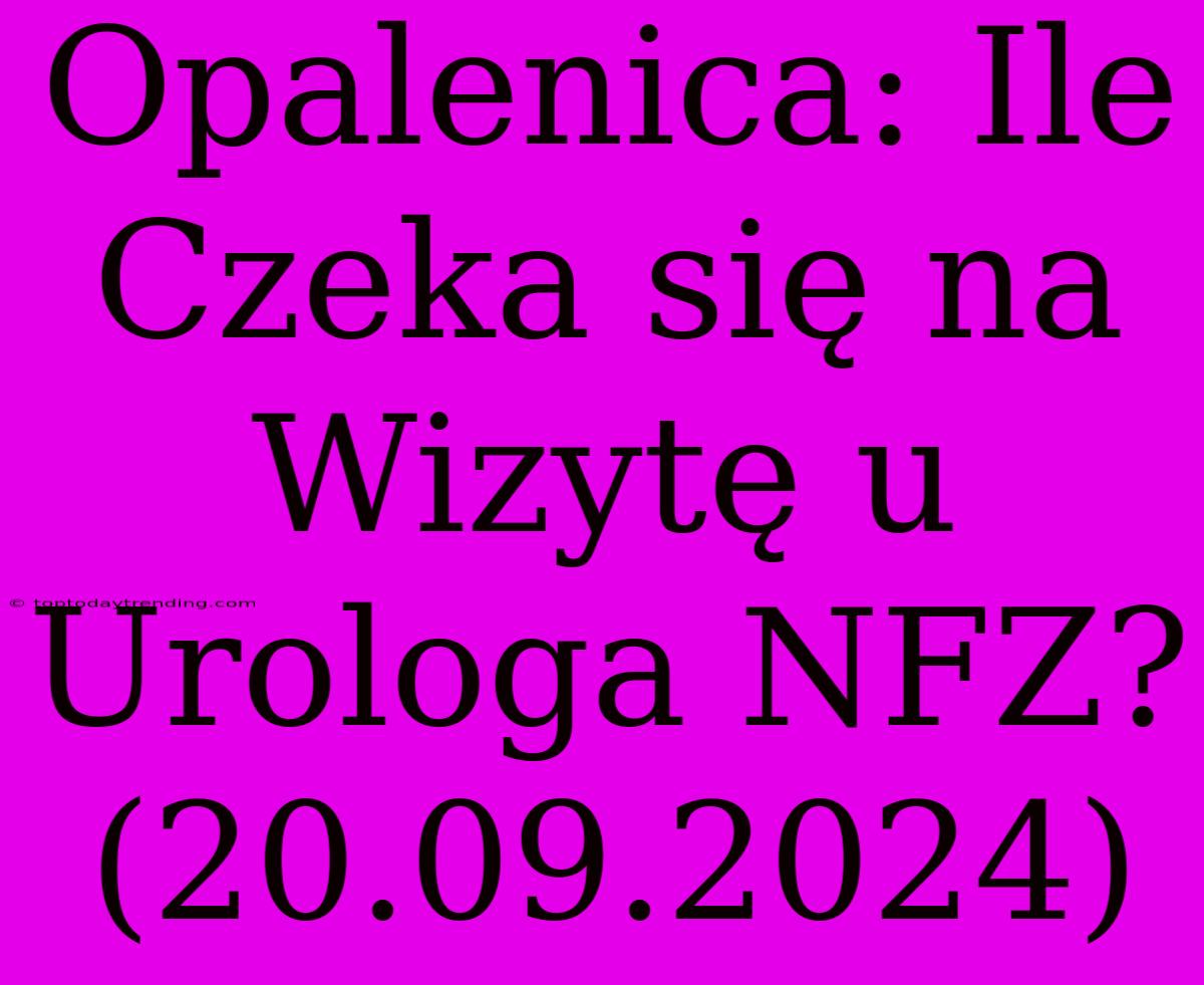 Opalenica: Ile Czeka Się Na Wizytę U Urologa NFZ? (20.09.2024)