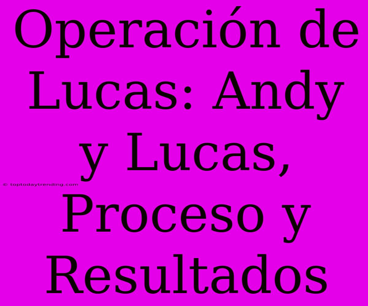 Operación De Lucas: Andy Y Lucas, Proceso Y Resultados