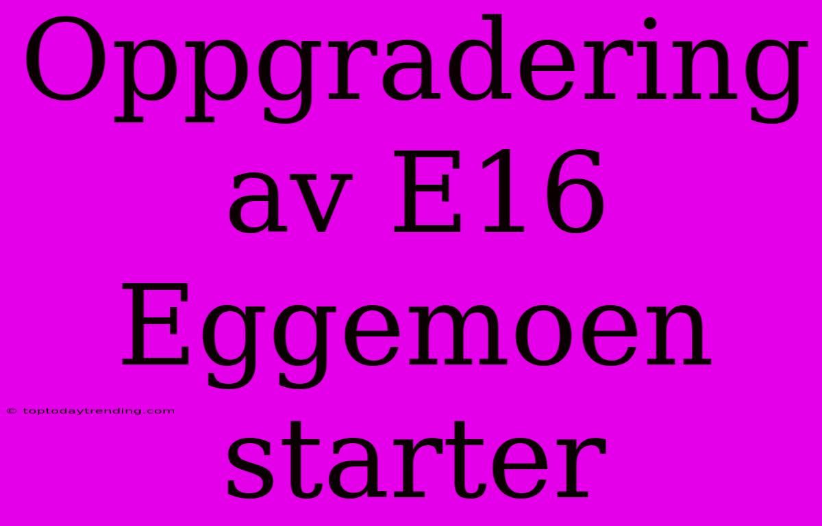 Oppgradering Av E16 Eggemoen Starter