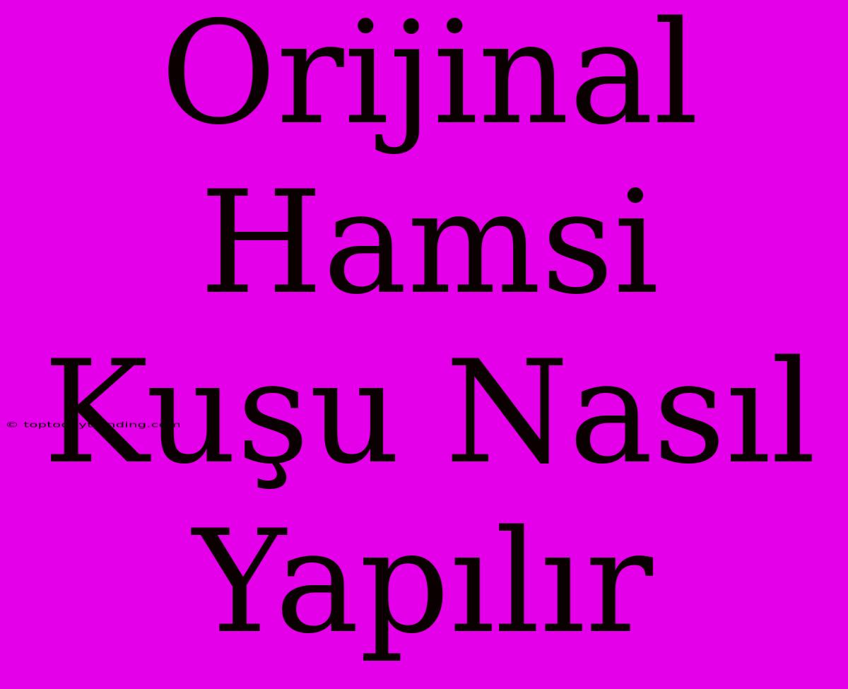 Orijinal Hamsi Kuşu Nasıl Yapılır