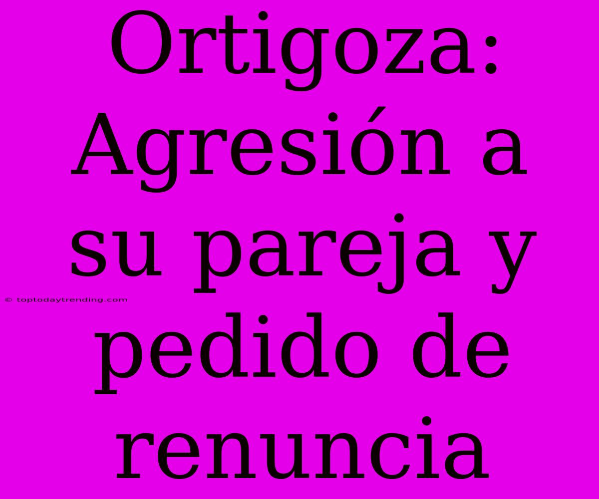 Ortigoza: Agresión A Su Pareja Y Pedido De Renuncia