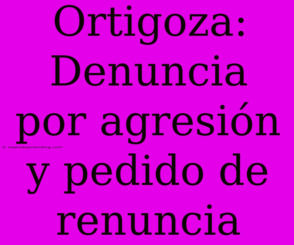 Ortigoza: Denuncia Por Agresión Y Pedido De Renuncia