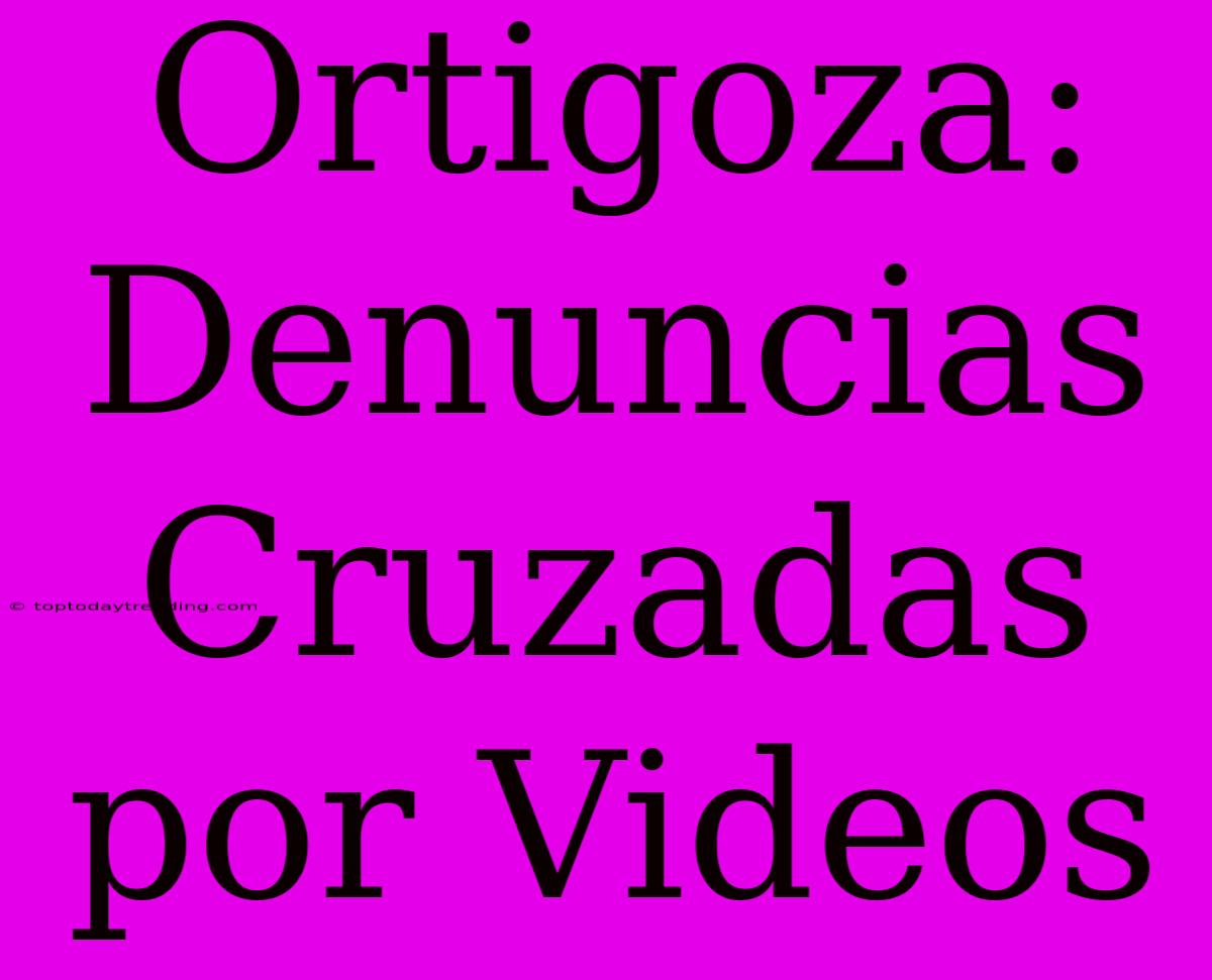 Ortigoza: Denuncias Cruzadas Por Videos