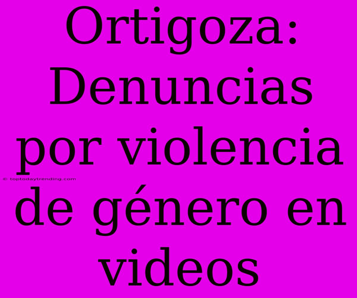 Ortigoza: Denuncias Por Violencia De Género En Videos