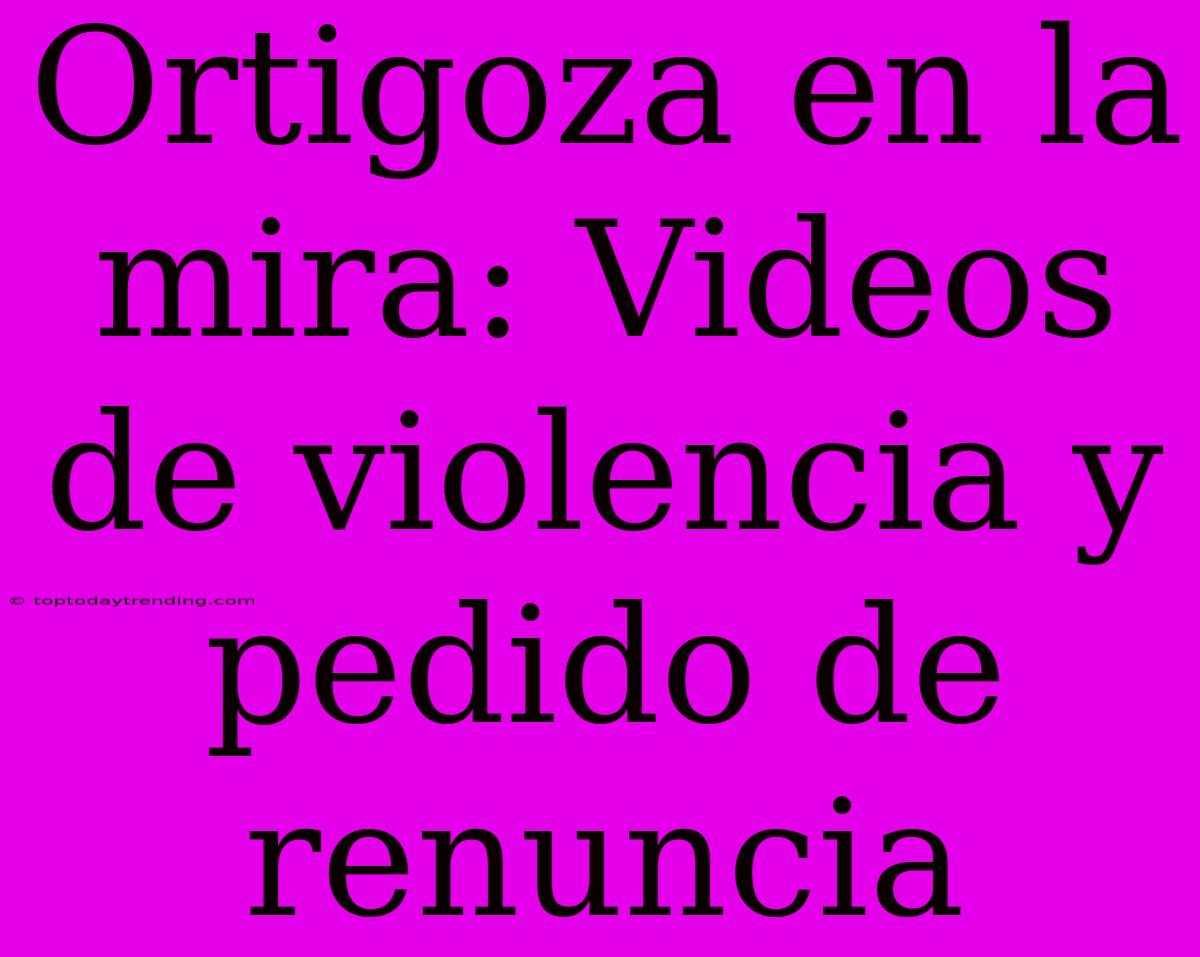 Ortigoza En La Mira: Videos De Violencia Y Pedido De Renuncia