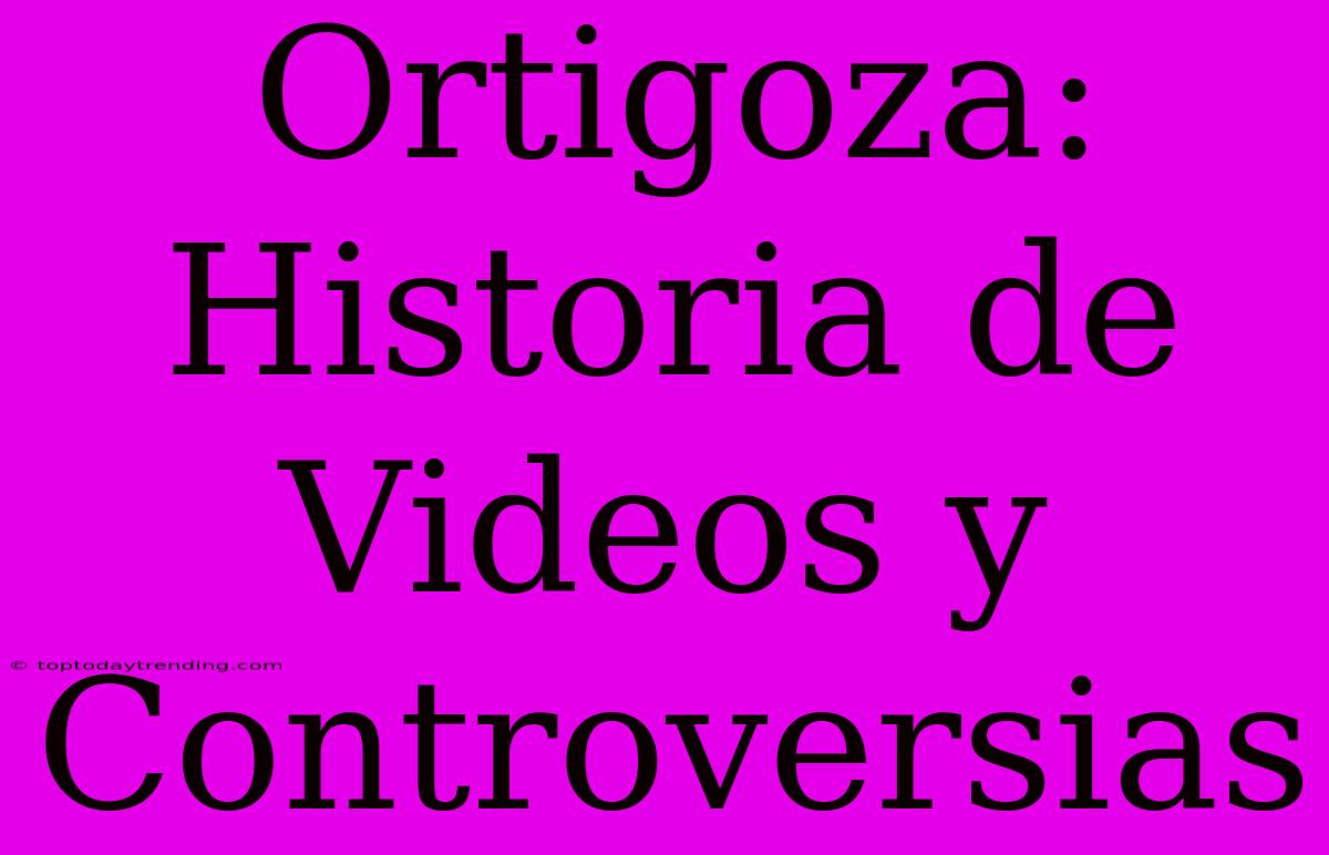 Ortigoza: Historia De Videos Y Controversias