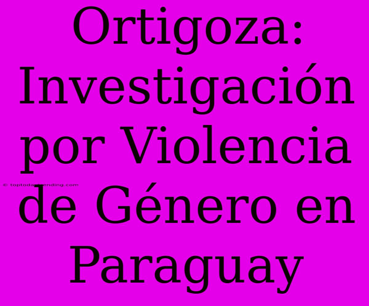 Ortigoza: Investigación Por Violencia De Género En Paraguay