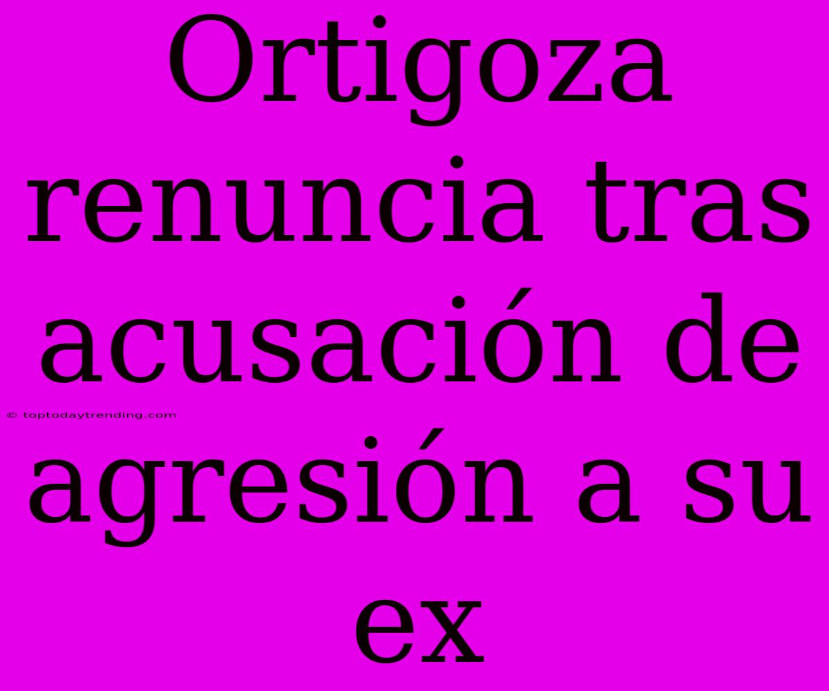 Ortigoza Renuncia Tras Acusación De Agresión A Su Ex