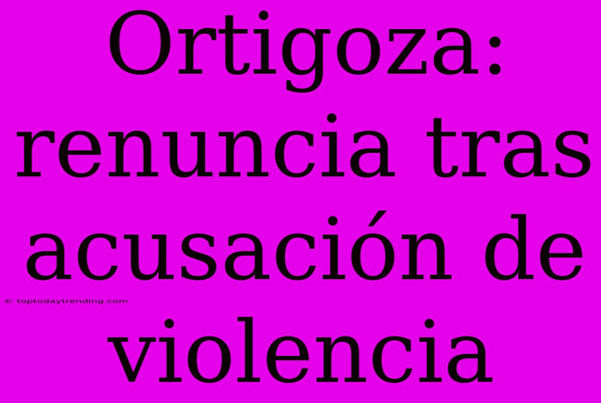 Ortigoza: Renuncia Tras Acusación De Violencia