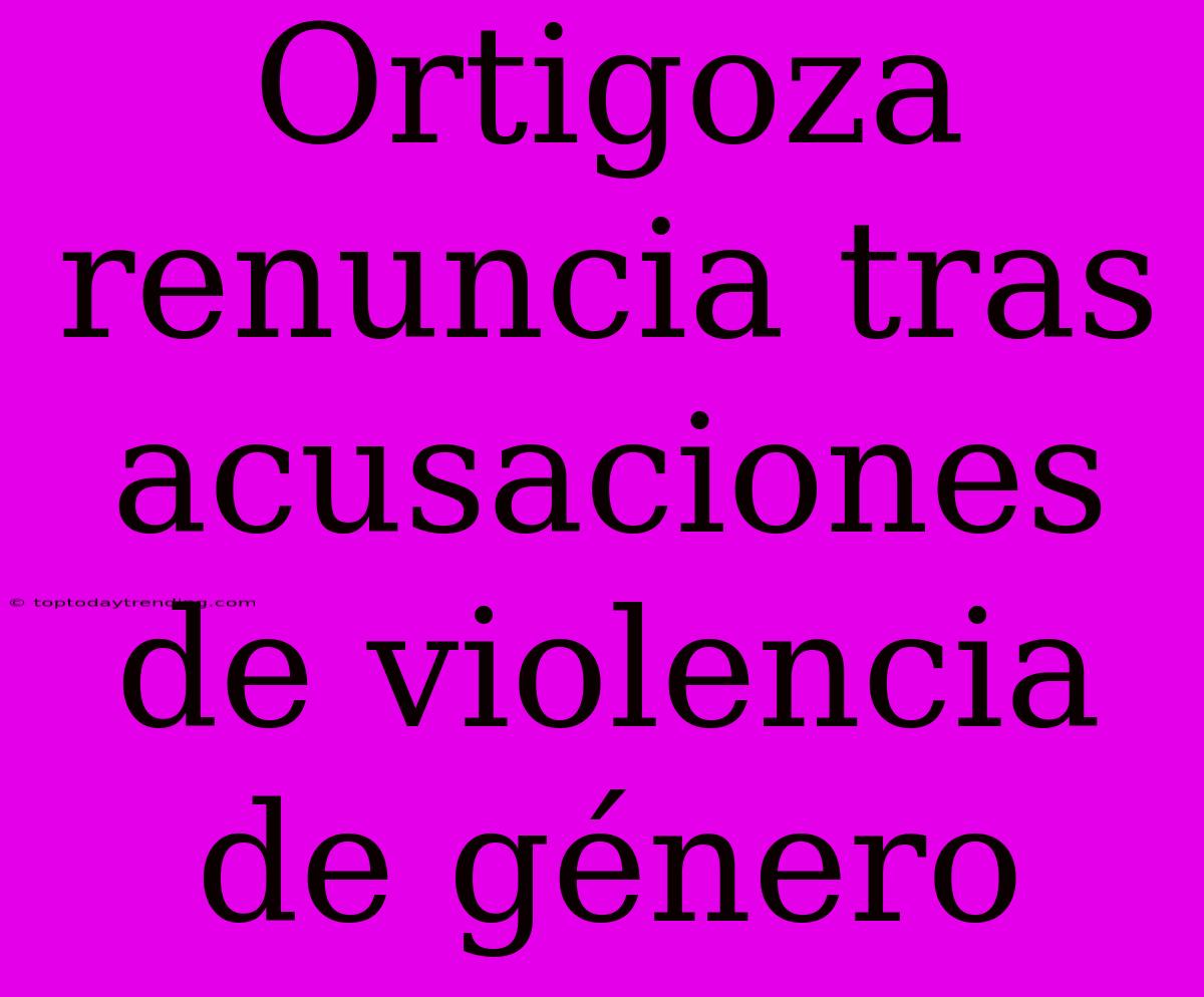 Ortigoza Renuncia Tras Acusaciones De Violencia De Género