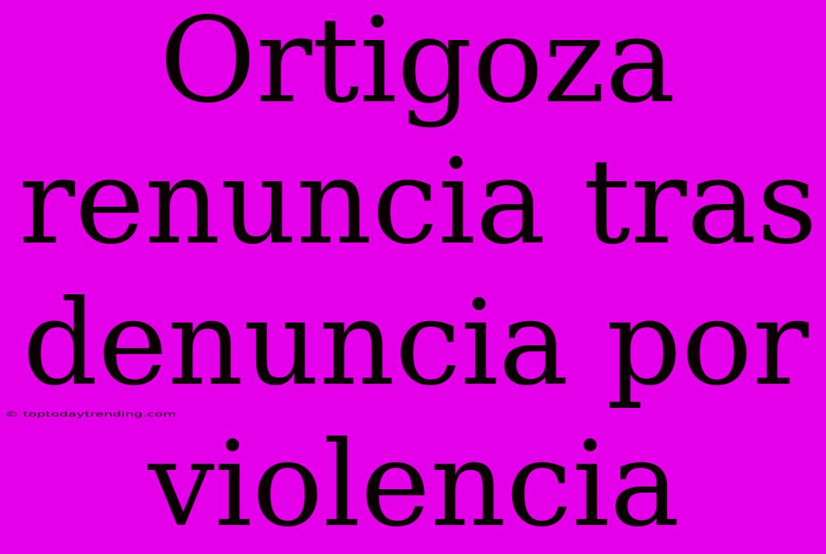 Ortigoza Renuncia Tras Denuncia Por Violencia