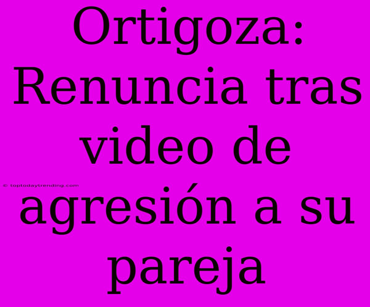 Ortigoza: Renuncia Tras Video De Agresión A Su Pareja