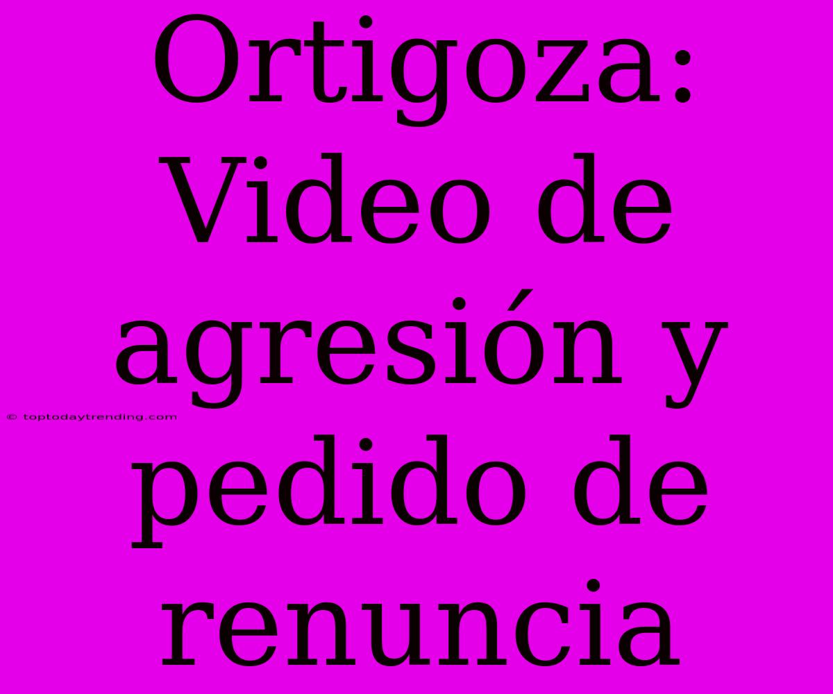 Ortigoza: Video De Agresión Y Pedido De Renuncia