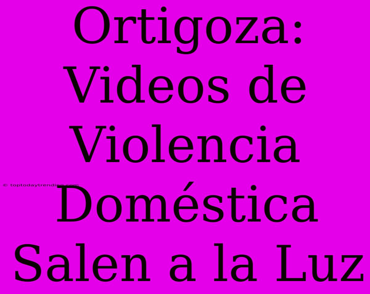 Ortigoza: Videos De Violencia Doméstica Salen A La Luz