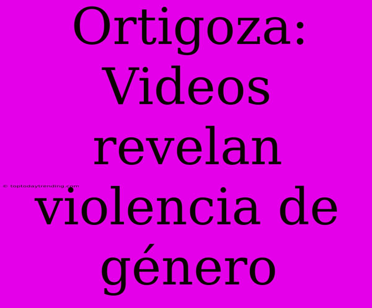 Ortigoza: Videos Revelan Violencia De Género