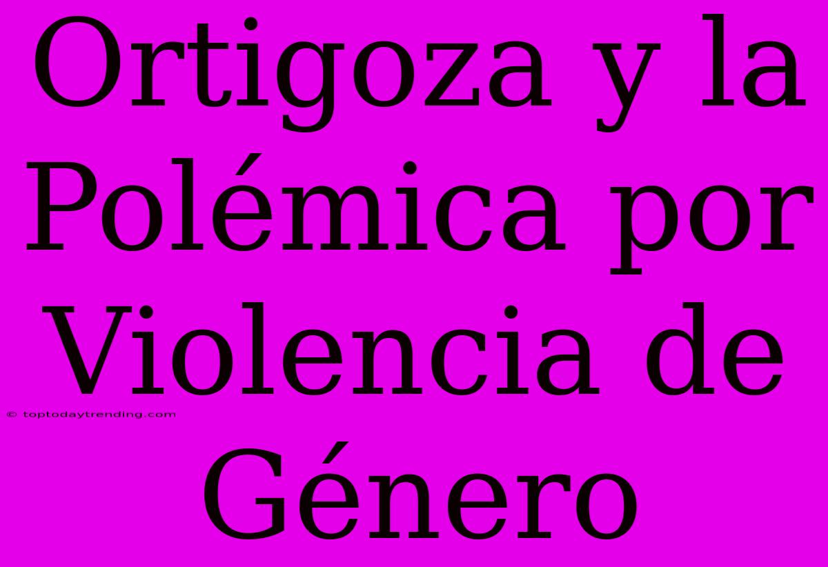 Ortigoza Y La Polémica Por Violencia De Género