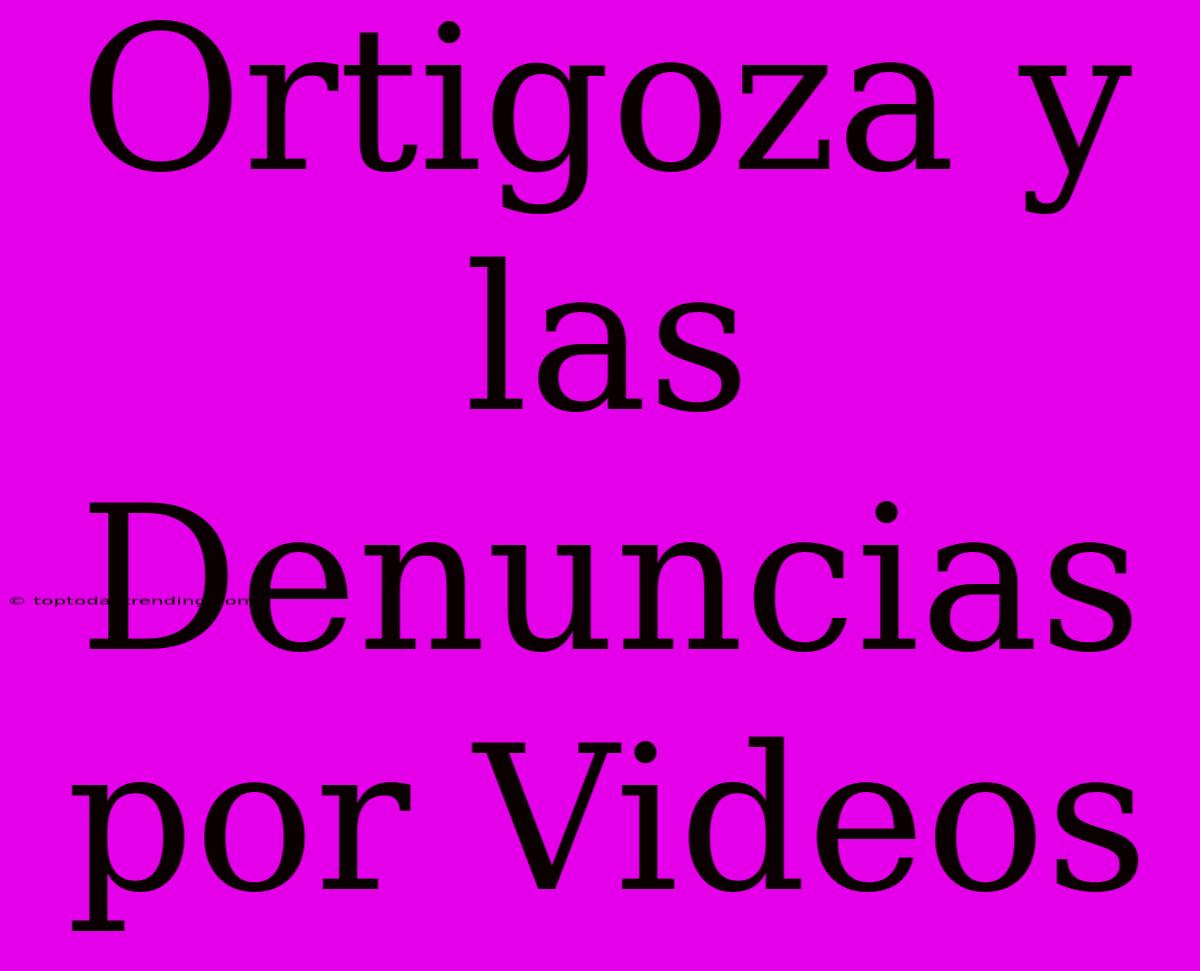 Ortigoza Y Las Denuncias Por Videos