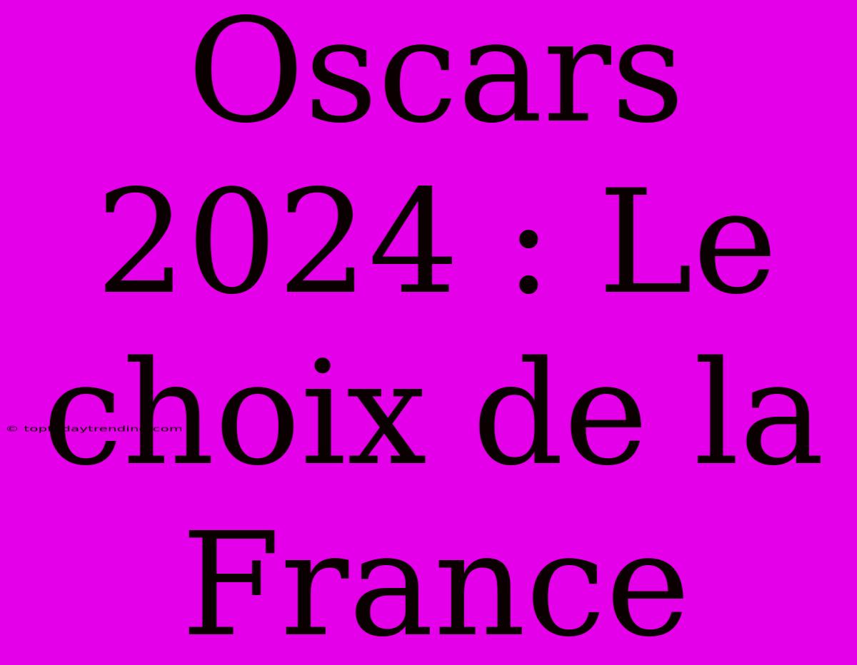 Oscars 2024 : Le Choix De La France