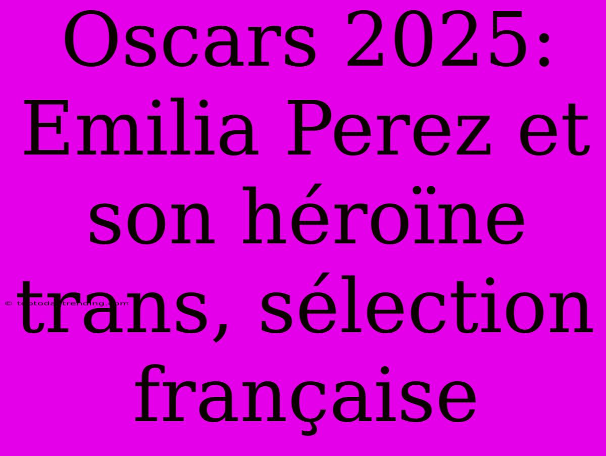 Oscars 2025: Emilia Perez Et Son Héroïne Trans, Sélection Française