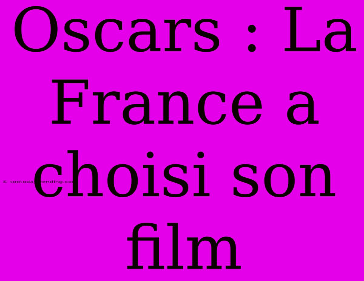 Oscars : La France A Choisi Son Film