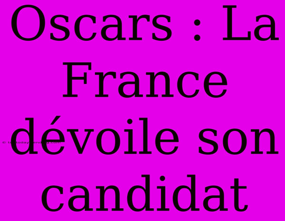 Oscars : La France Dévoile Son Candidat