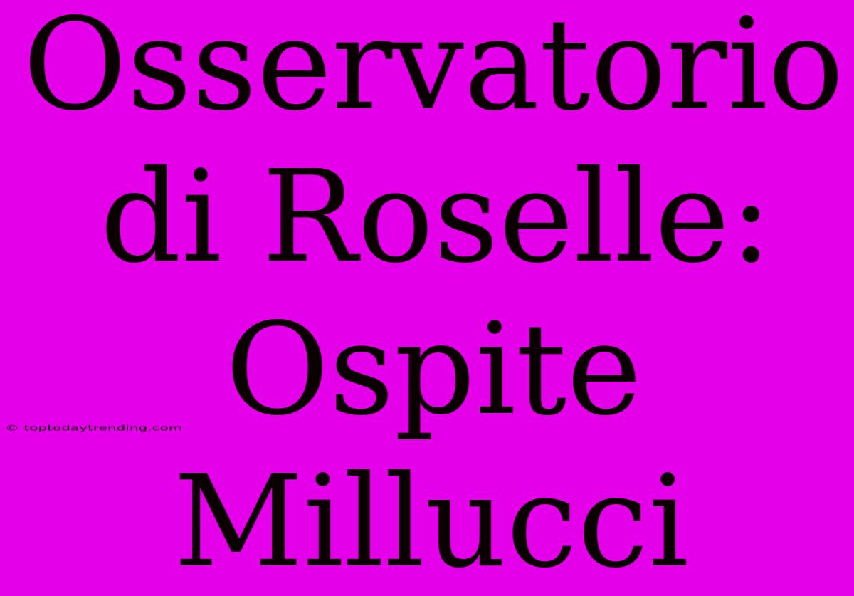 Osservatorio Di Roselle: Ospite Millucci